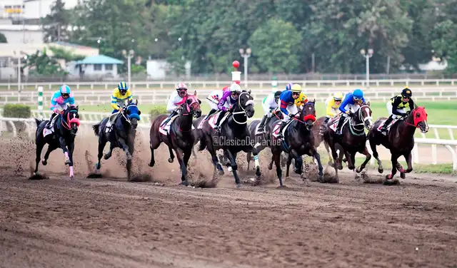 La Serie Hípica del Caribe 2024 se correrá en el Hipódromo La Rinconada. Foto: Clásico del Caribe   