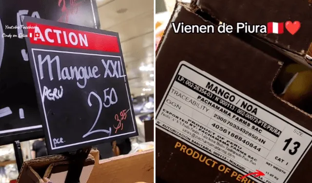  Usuarios debaten el precio del mango peruano que se vende en Ginebra. Foto: captura de TikTok/@cindyensuiza   