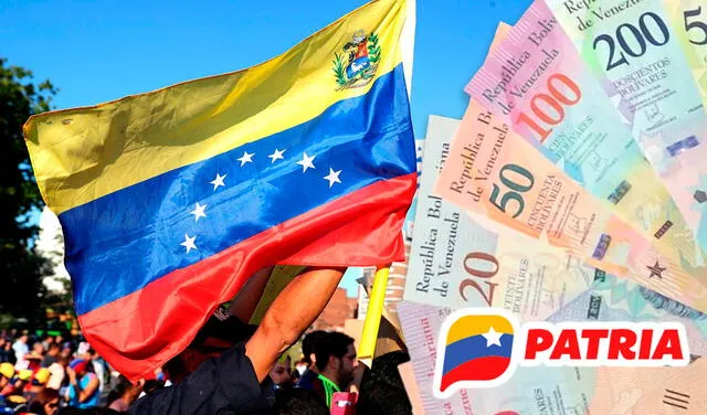Los venezolanos reciben diversos bonos mediante el Sistema Patria. Foto: composición LR/Patria   