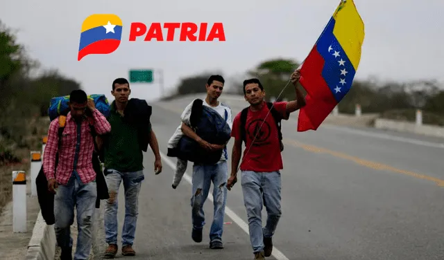 Miles de venezolanos reciben diversos bonos a través del Sistema Patria. Foto: Patria   