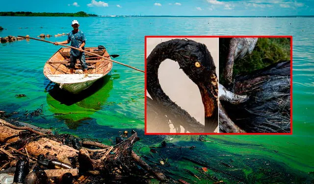 El Lago Maracaibo es el más grande de Latinoamérica, pero también el más contaminado de todo el mundo. Foto: composición LR/AFP.   