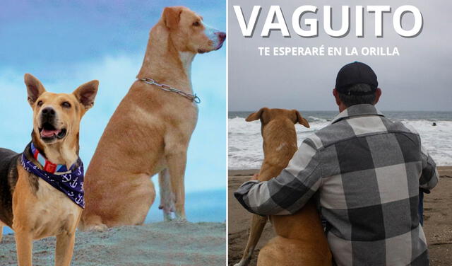  Aunque tuvo poca acogida en su estreno, 'Vaguito' se convirtió en la película más vista en cines de Perú el miércoles 24 de abril. Foto: composición LR/Bamboo Pictures   