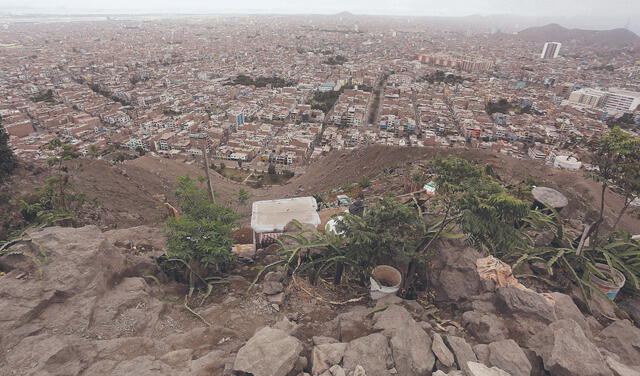  Necesario. Los cerros que rodean nuestra urbe necesitan este tipo de proyectos. Entidades deben apoyar. Foto: Félix Contreras   