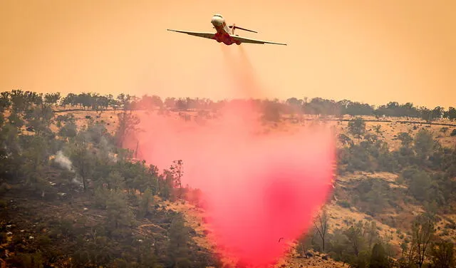  Bomberos y personal de rescate han sido desplegados por las zonas afectadas para intentan sofocar el incendio. Foto: AFP    