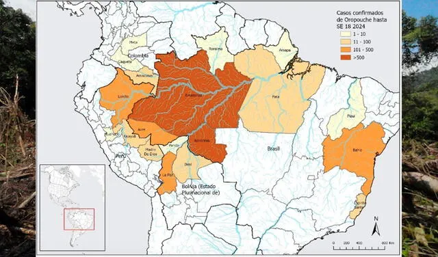 Distribución geográfica de casos confirmados del virus de Oropouche en Sudamérica en 2024. Foto: Organización Panamericana de la Salud.   