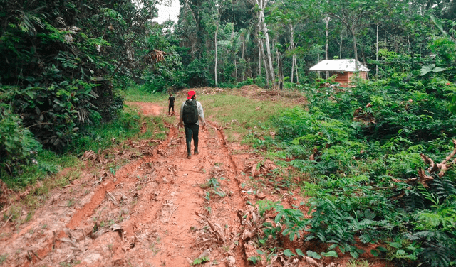  La carretera que unirá Perú y Colombia tendrá una inversión de más de S/1.546 millones. Foto: difusión   