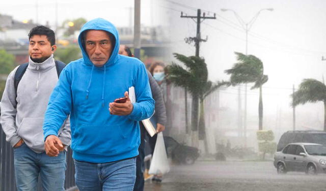  Cinco regiones registrarán vientos fuertes desde el 18 hasta el 19 de septiembre, según Senamhi. Foto: difusión   