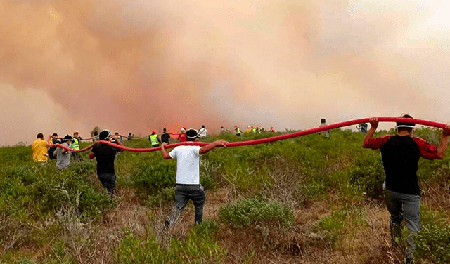 Incendio forestal | incendio forestal en la Amazonía | selva | ecología | medio ambiente | cambio climático