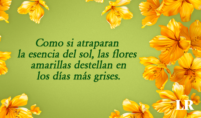  Las flores amarillas, además de simbolizar alegría, también son consideradas portadoras de buena suerte en diversas culturas alrededor del mundo. Foto: composición de Jazmin Ceras / La República   