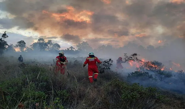  Amazonas. Esta región ha sido de las más afectadas por los incendios forestales y fue declarada en emergencia. Foto: Difusión   