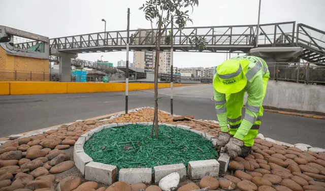 La Vía Expresa estará cerrada por 15 días. Foto: Emape   