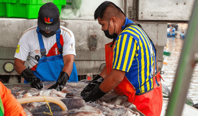 It is necessary to specify what type of artisanal boat is appropriate to be dedicated to poto lampesca. Photo: Sustainable Fisheries Partnership (SFP)   