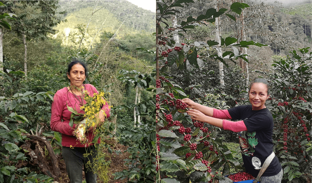  Consuelo Rubio y Flor Quispe: productoras de la finca San Francisco. Foto: composición LR/La República/cortesía de 'Florencia y Fortunata'   