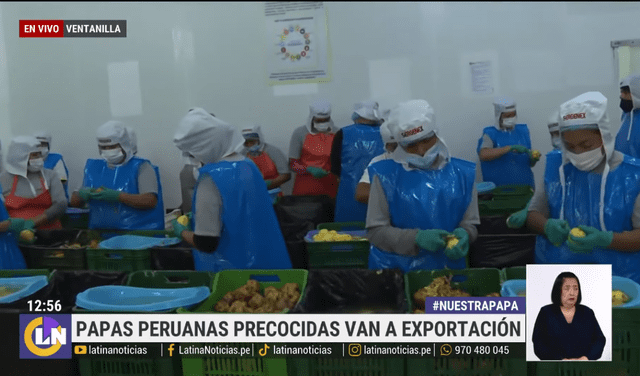  Trabajadores pelando papas manualmente. Foto: captura de pantalla/Andina   