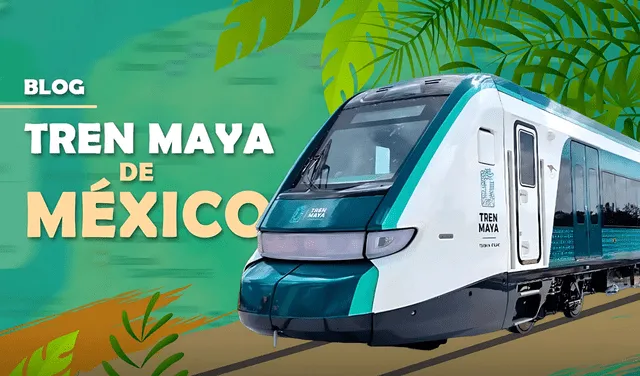 Es un nuevo servicio de transporte de tren que interconecta las principales ciudades y zonas turísticas de la península de México. Foto: Tren Maya Tours   