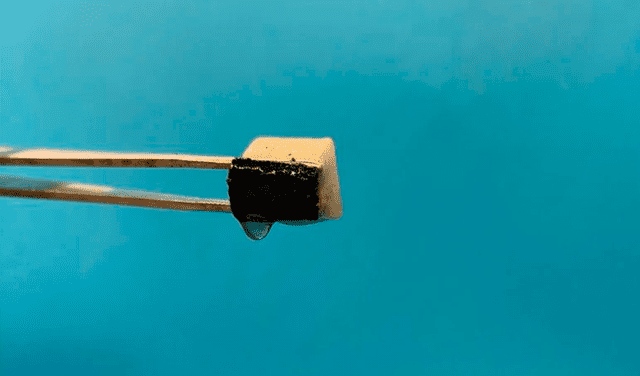  Unas pinzas extraen agua del material esponjoso desarrollado por el equipo. Foto: Xingying Zhang   