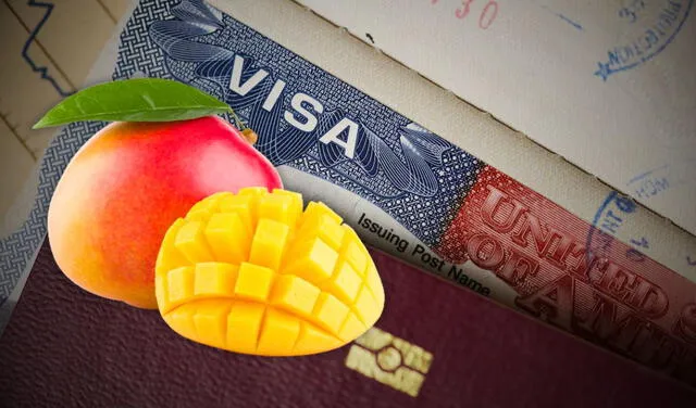 La ciudadana mexicana no declaró la fruta ante las autoridades y perdió su visa de turista. Foto: composición LR   