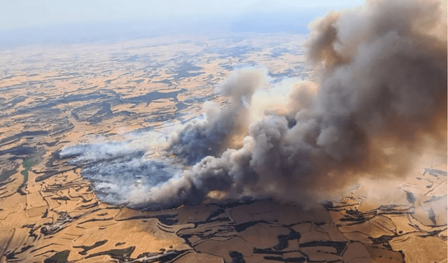 El incendio ha sido uno de los más trágicos de España en los últimas semanas. Foto: EFE El incendio ha sido uno de los más trágicos de España en los últimas semanas. Foto: EFE