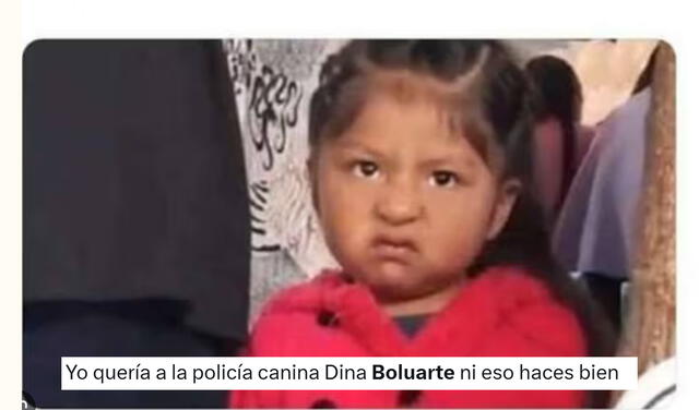 Parada Militar 2025 | Policía Canina | Dina Boluarte Parada Militar 2025 | Policía Canina | Dina Boluarte