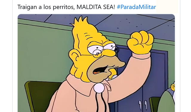 Parada Militar 2025 | Policía Canina | Dina Boluarte Parada Militar 2025 | Policía Canina | Dina Boluarte