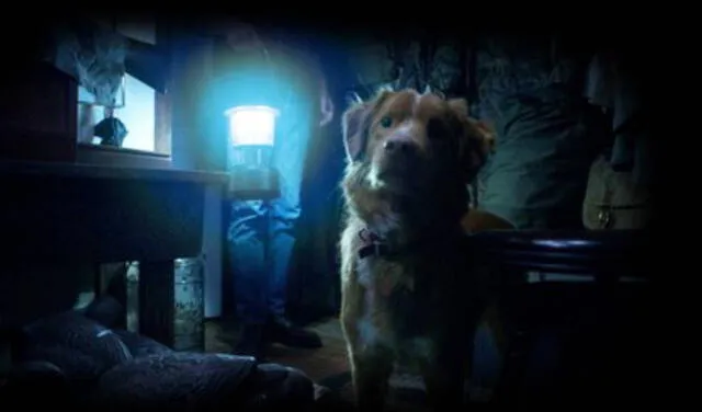  'Good Boy' se estrena en cines en octubre de 2025. Foto: Shudder   