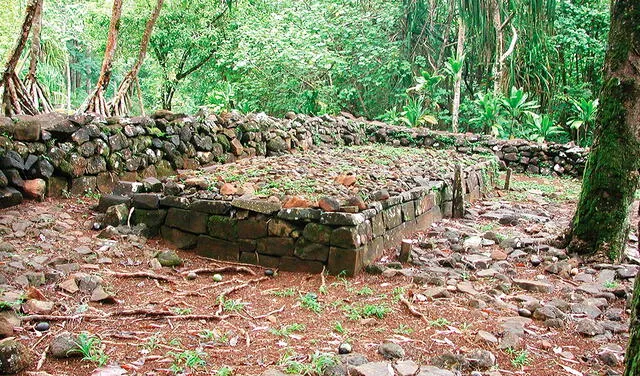  Estructura Marae con ahu en Mo'orea en las Islas de la Sociedad de Barlovento. Foto: P. Wallin   