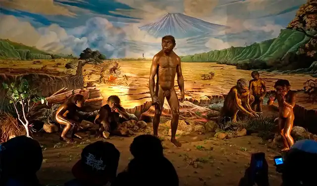  Los H. erectus eran cazadores-recolectores nómadas, fabricaban herramientas de piedra y usaban el fuego. Foto: Anadolu   