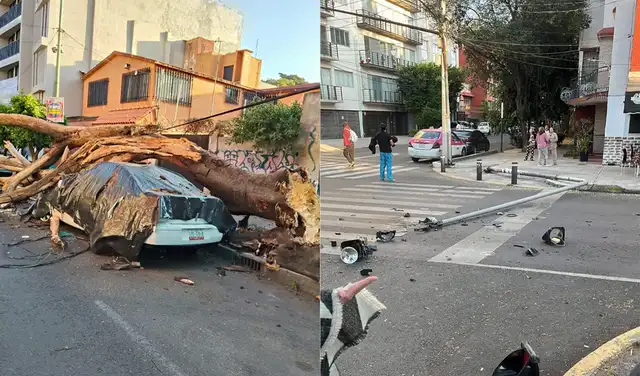  El sismo con epicentro en Guerrero se sintió en la capital y dejó daños materiales, como postes caídos y árboles sobre vehículos en calles. Foto: Abejorro   