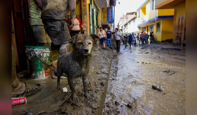 Gobierno declara estado de emergencia por lluvias en Ayacucho