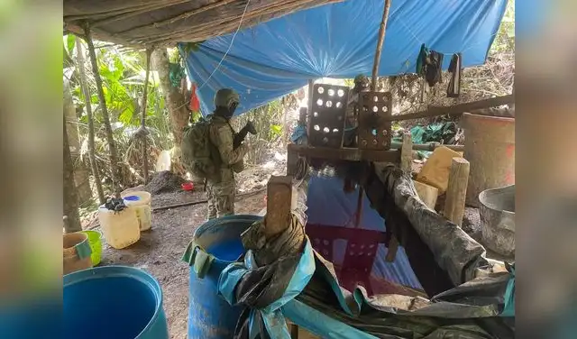 Narcolaboratorio allanado, Narcolaboratorio allanado,