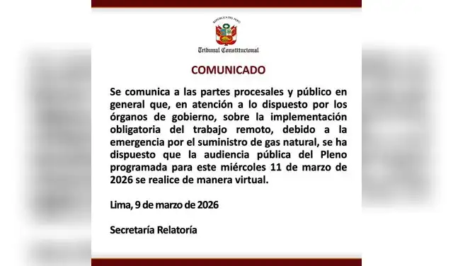 El Tribunal Constitucional tomó la virtualidad como medida a la crisis energética del país.
