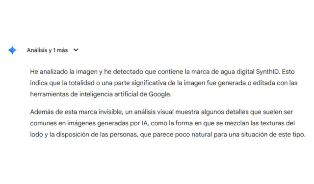 Análisis de la imagen con SynthID. Foto: SynthID  