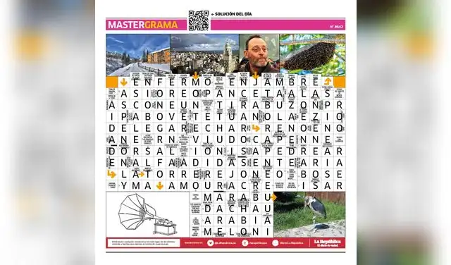 Mastergrama N°8642 Mastergrama N°8642