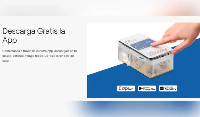 Canales de atención Pluz Energía Perú.