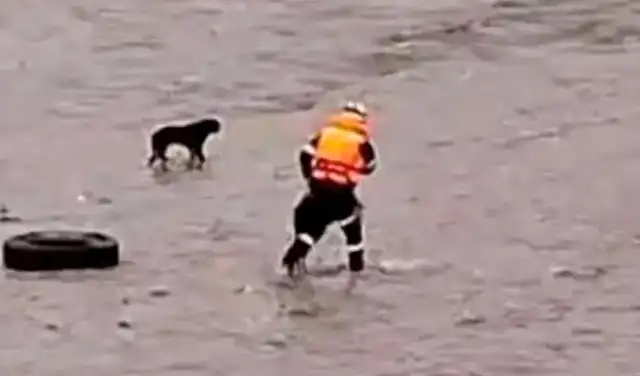 El rescatista Patrick Ospina falleció en el río al intentar rescatar a perrito atrapado en islote.