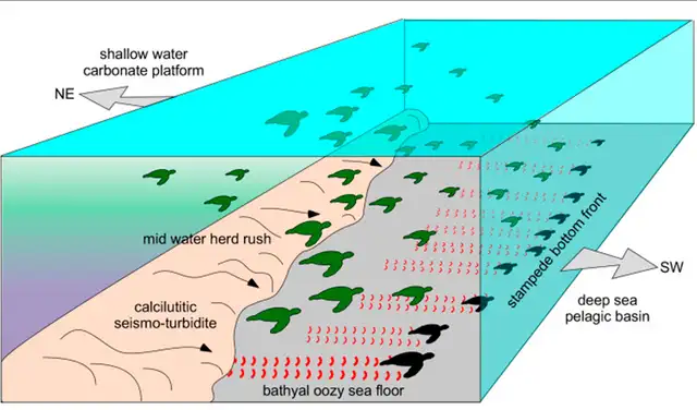 Modelo de una manada de tortugas marinas en pánico que se precipita hacia las profundidades marinas. Foto: Science Direct