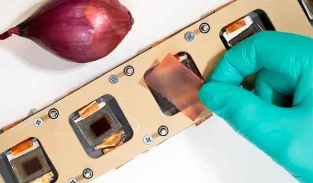 Los investigadores compararon la durabilidad de cuatro películas protectoras hechas de nanofibras de celulosa. Foto: Universidad de Turku