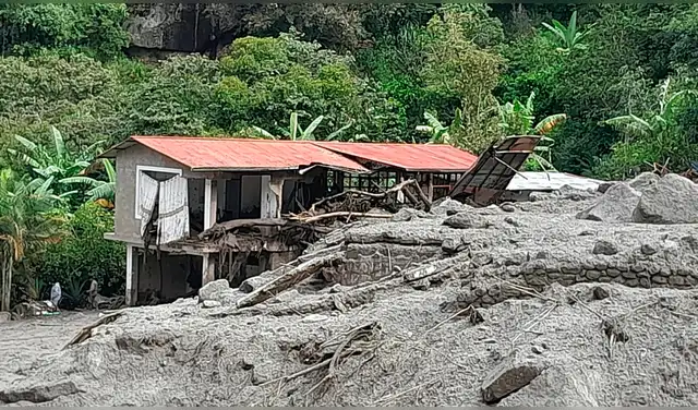 Varias viviendas quedaron inhabitables. Foto: Cortesía  