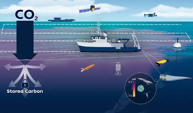 Evaluación de la eficacia y los impactos ambientales del aumento de la alcalinidad oceánica. Foto: Maine Coast Fishermen’s