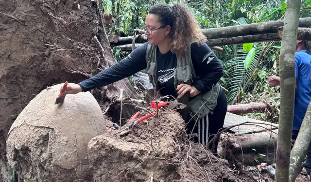 La arqueóloga brasileña, Geórgea Holanda, trabaja en una de las urnas funerarias recuperadas en la selva amazónica. Foto: Marcio Amaral
