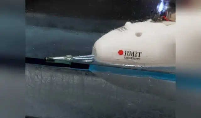 Está inspirado en el cuerpo de un delfín que permite un movimiento ágil sobre el agua. Foto: Universidad RMIT