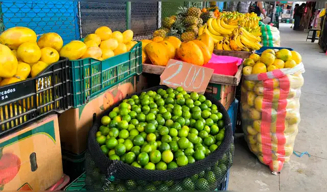 En el mercado de La Hermelinda, en Trujillo, el limón se ofrece desde las S/2. Foto: Yolanda Goicochea, La República En el mercado de La Hermelinda, en Trujillo, el limón se ofrece desde las S/2. Foto: Yolanda Goicochea, La República