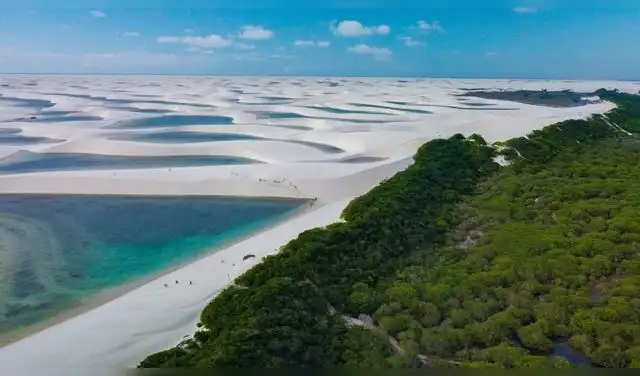 Los espacios del parque brasileño ofrecen hábitats para una variedad de flora y fauna. Foto: Turium Los espacios del parque brasileño ofrecen hábitats para una variedad de flora y fauna. Foto: Turium