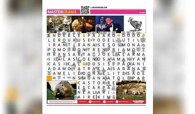 Mastergrama N°8656 Mastergrama N°8656