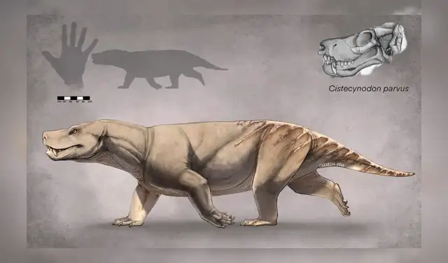 Según la investigación, el reptil presentaba características particulares que han permitido reconstruir su apariencia y comprender mejor su lugar en la evolución. Foto: Morgan Hopf  