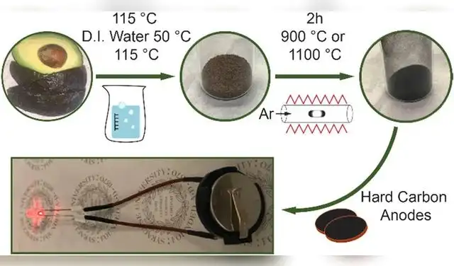 Las cáscaras de aguacate se sometieron a un tratamiento térmico de pirólisis. Foto: ECS Advances