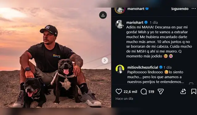 Mario Hart conmueve con sentido mensaje en redes tras sufrir irreparable pérdida de su perrita: "Me hubiera encantado darte mucho más amor"