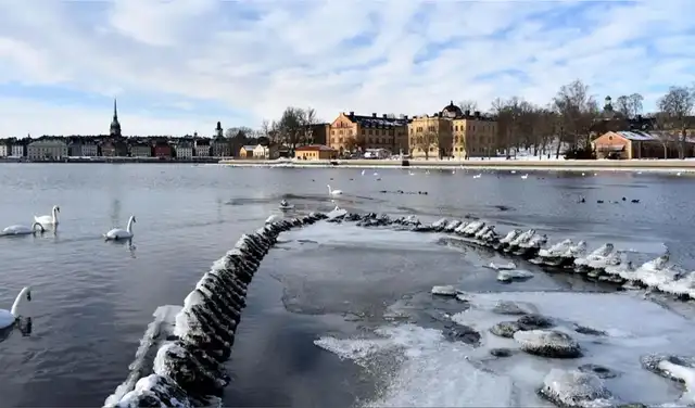 El descenso del nivel del mar es un fenómeno que ya se documentó en 2013 y en la década de 1940. Foto: Stockholm Museum
