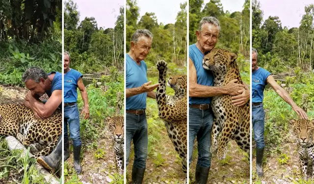 Imágenes viralizadas en Facebook e Instagram. Foto: Redes sociales