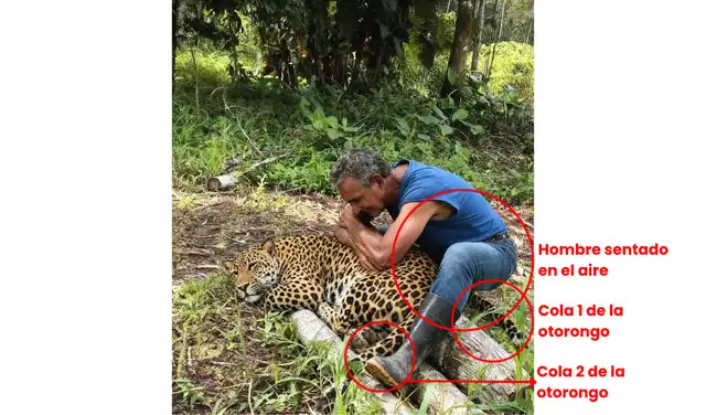 Inconsistencias en una de las imágenes viralizadas. Foto: Redes sociales